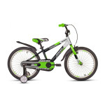 ARDIS Fitness 20