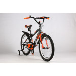 ARDIS Fitness 20
