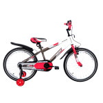ARDIS Fitness 20