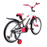 ARDIS Fitness 20