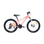 Велосипед ARDIS Comet X5 24